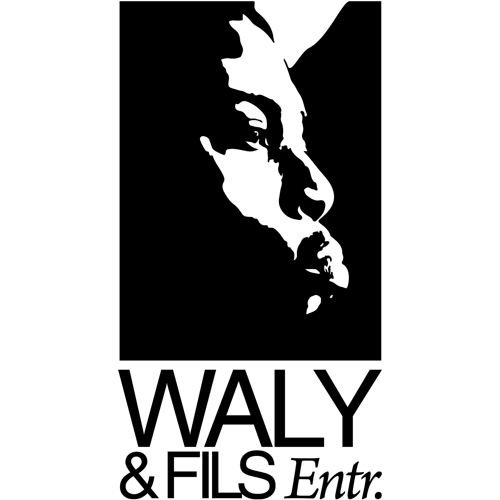 direction graphique + merchandising Waly & Fils Entr.
